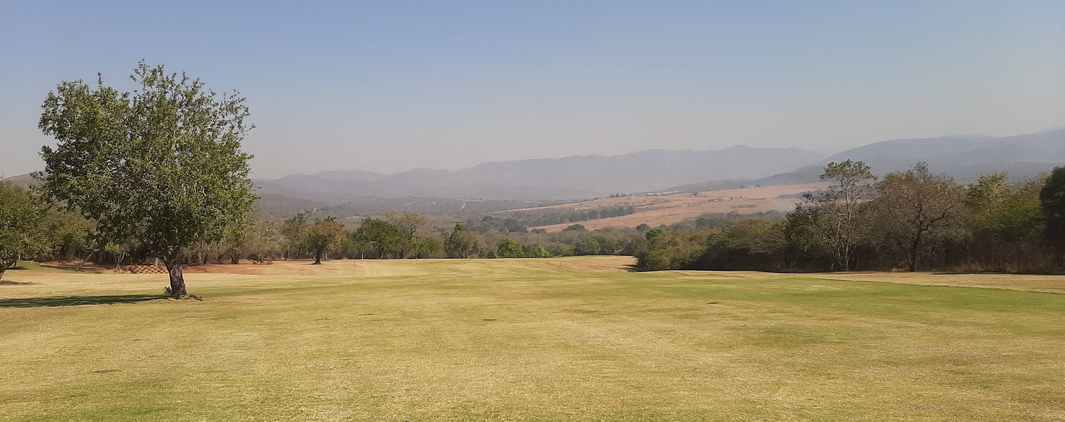 Nkonyeni Golf greens